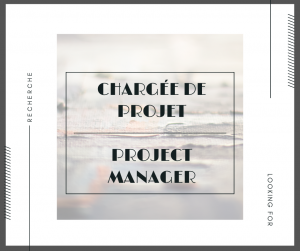 Project Manager - artPontiac's online store