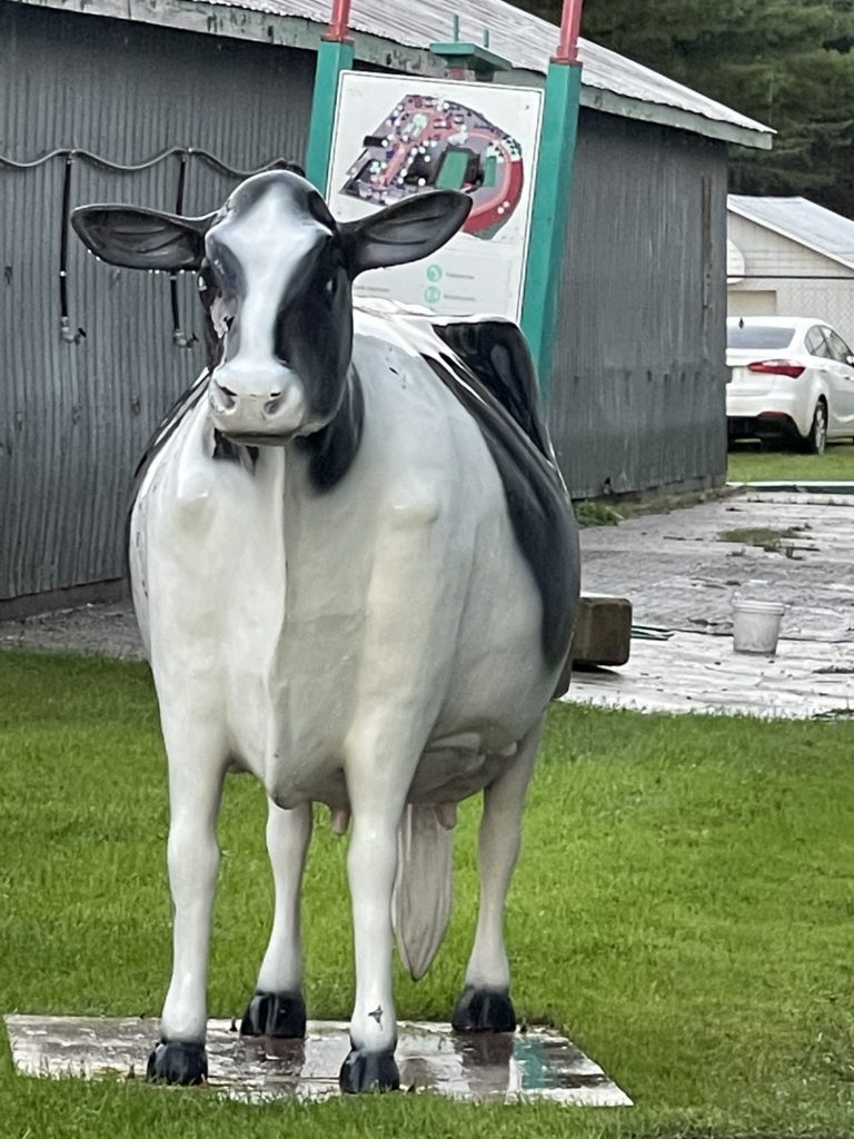 The Stone School Shop is at the Shawville Fair!