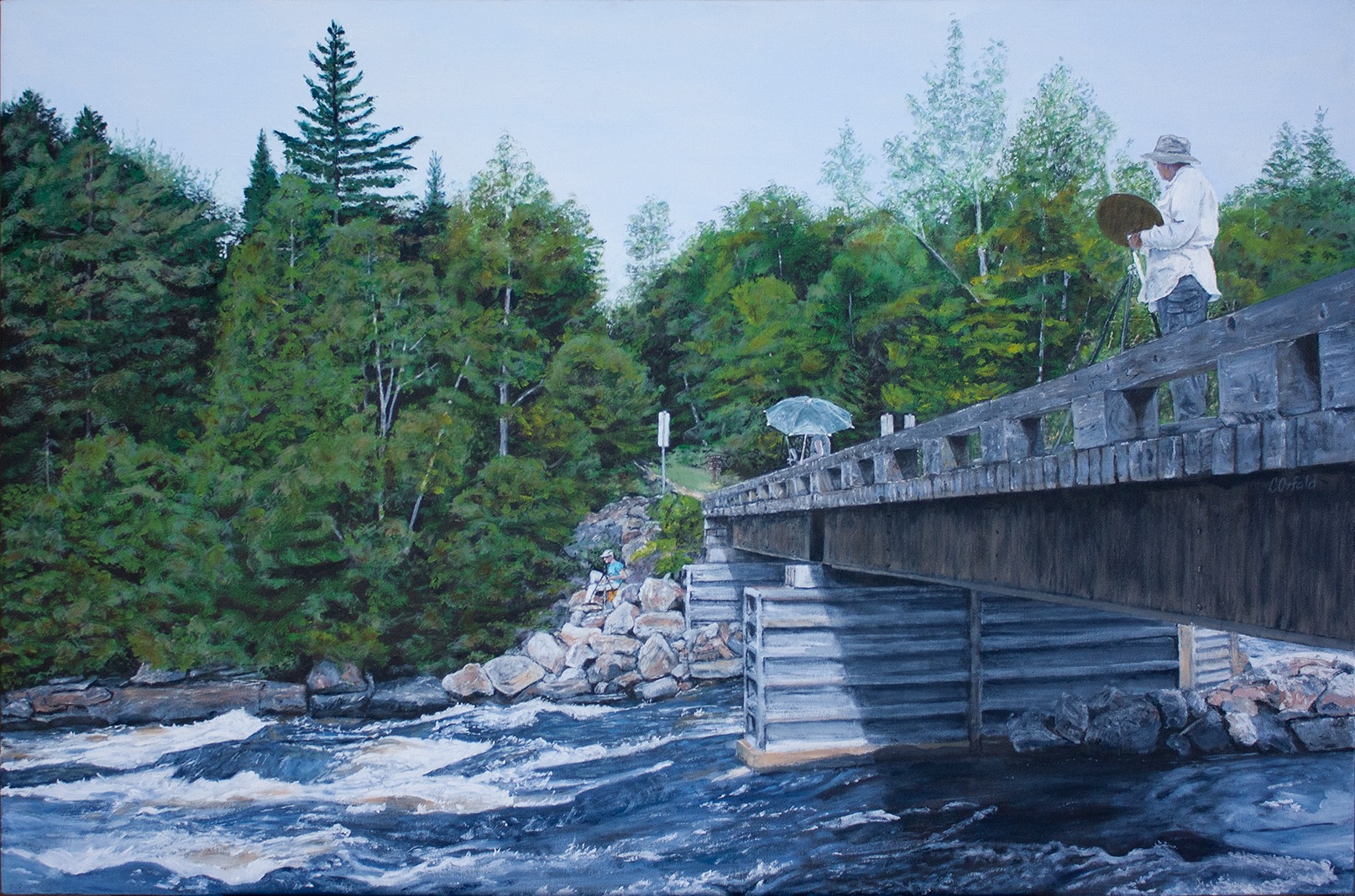 Dumoine River Reflections